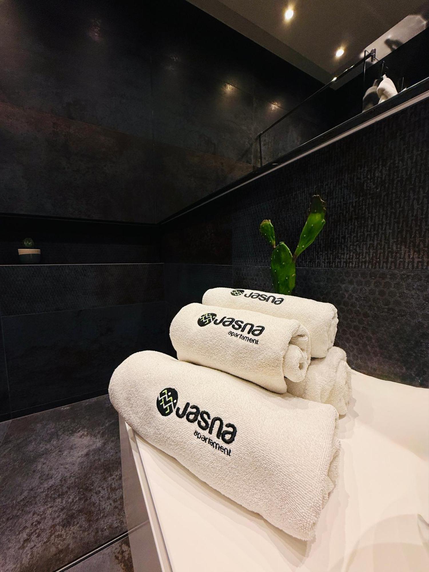 Jasna Sporthotel & Spa Gliwice Exterior photo